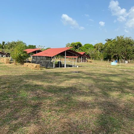 Hotel - Granja De Animales San Basilio De Palenque San Basilio del Palenque Esterno foto