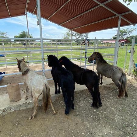 Hotel - Granja De Animales San Basilio De Palenque San Basilio del Palenque Esterno foto