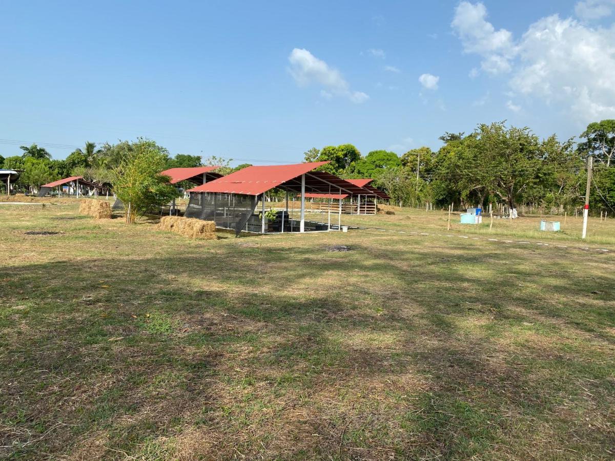 Hotel - Granja De Animales San Basilio De Palenque San Basilio del Palenque Esterno foto