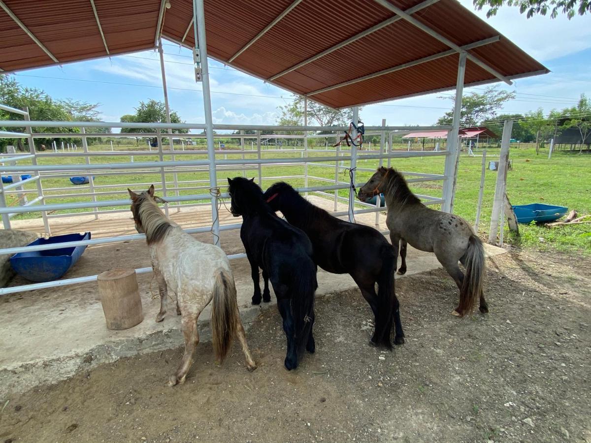 Hotel - Granja De Animales San Basilio De Palenque San Basilio del Palenque Esterno foto