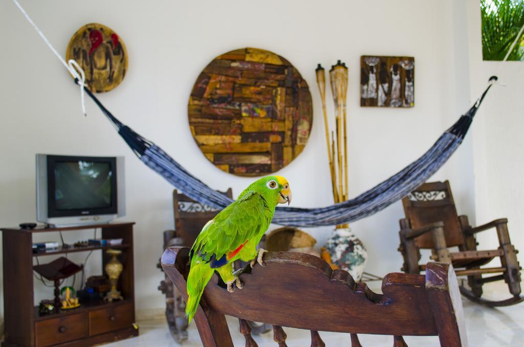 Hotel - Granja De Animales San Basilio De Palenque San Basilio del Palenque Esterno foto